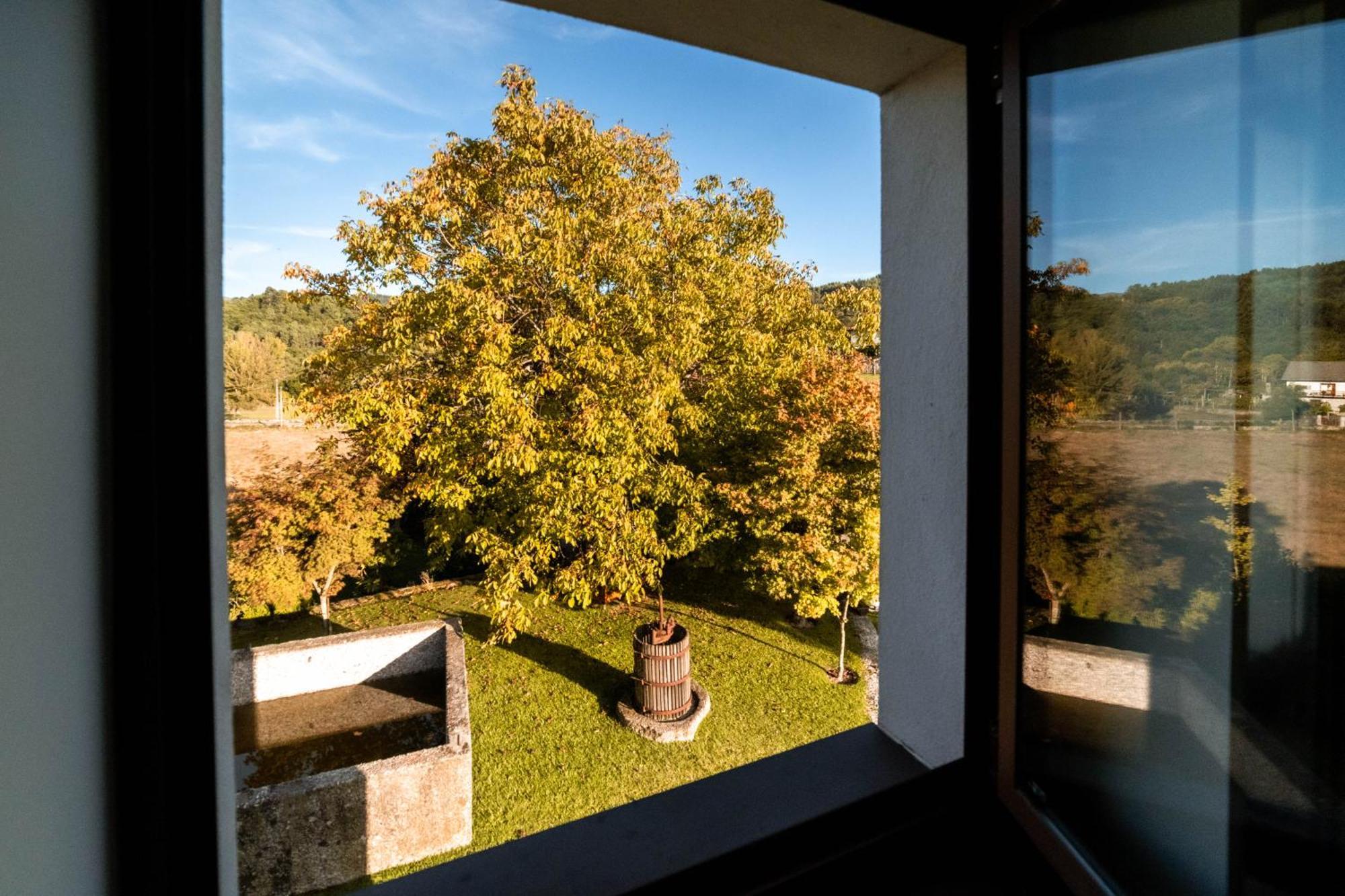 Вілла Quinta Da Mouta Вієйра-ду-Міню Екстер'єр фото